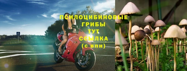 прущая мука Горняк