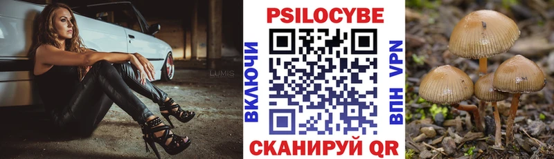 Галлюциногенные грибы Magic Shrooms  сколько стоит  Дальнереченск 