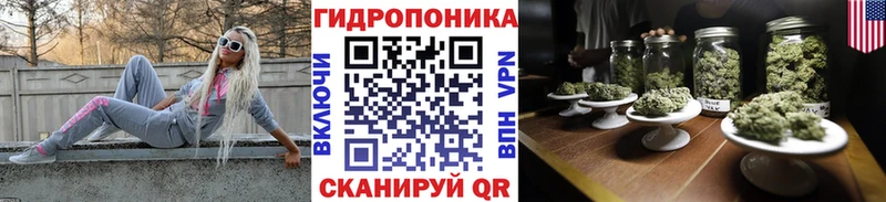 где найти наркотики  Дальнереченск  блэк спрут рабочий сайт  Шишки марихуана Bruce Banner 